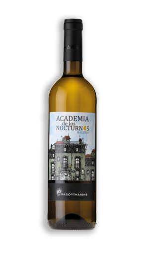 ACADEMIA DE LOS NOCTURNOS MACABEO