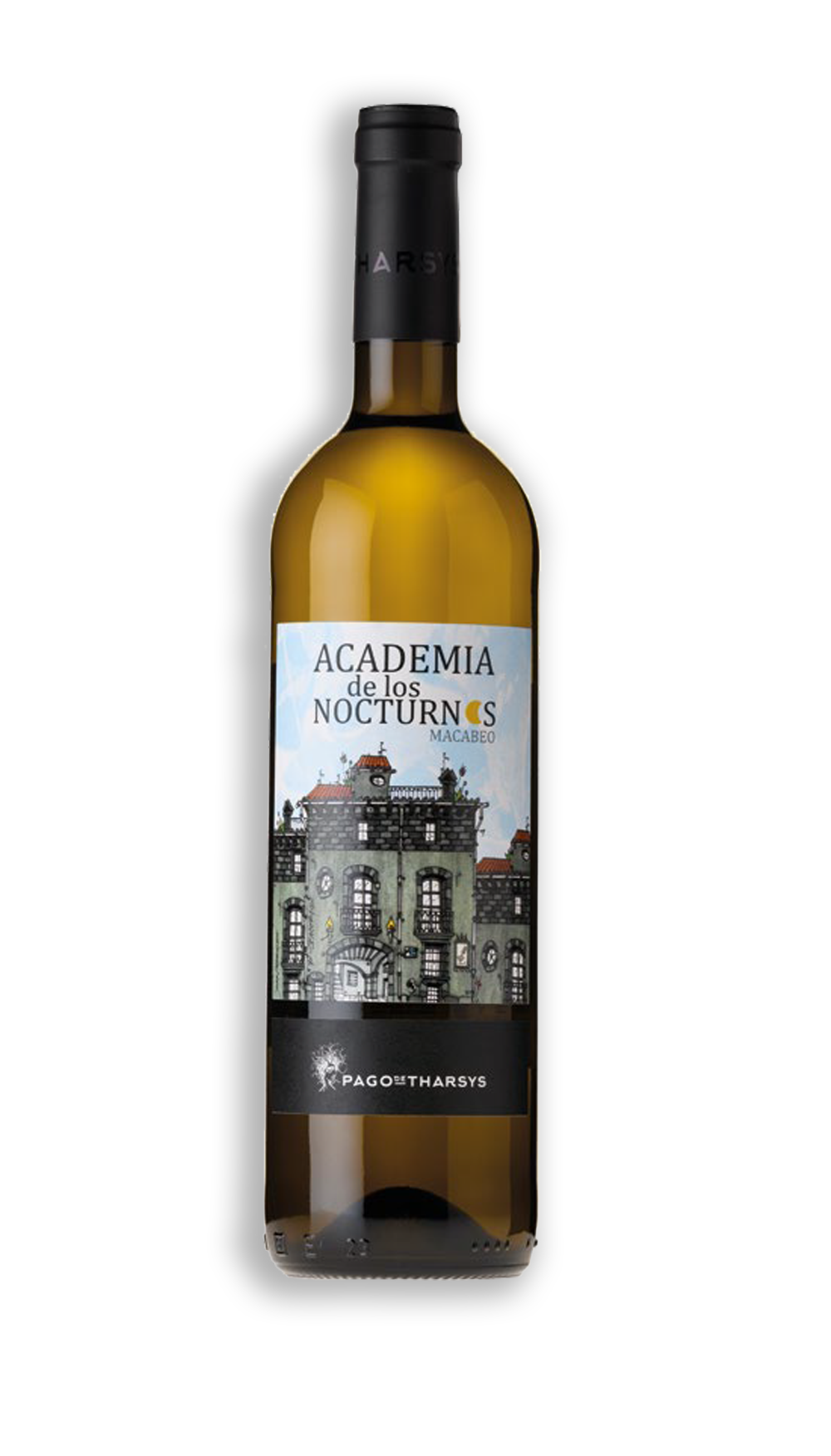 ACADEMIA DE LOS NOCTURNOS MACABEO