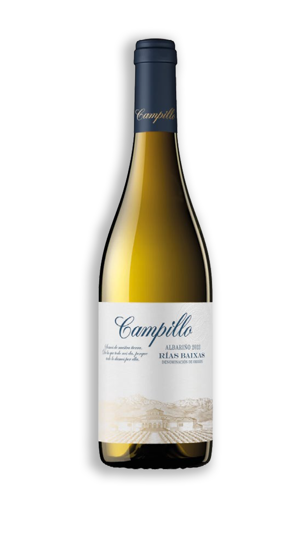 CAMPILLO ALBARIÑO