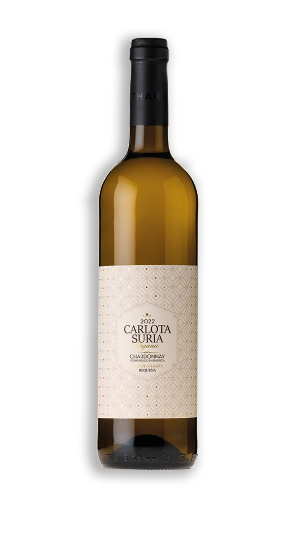 CARLOTA SURIA F. BARRICA