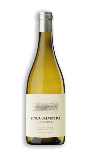 FINCA CALVESTRA
