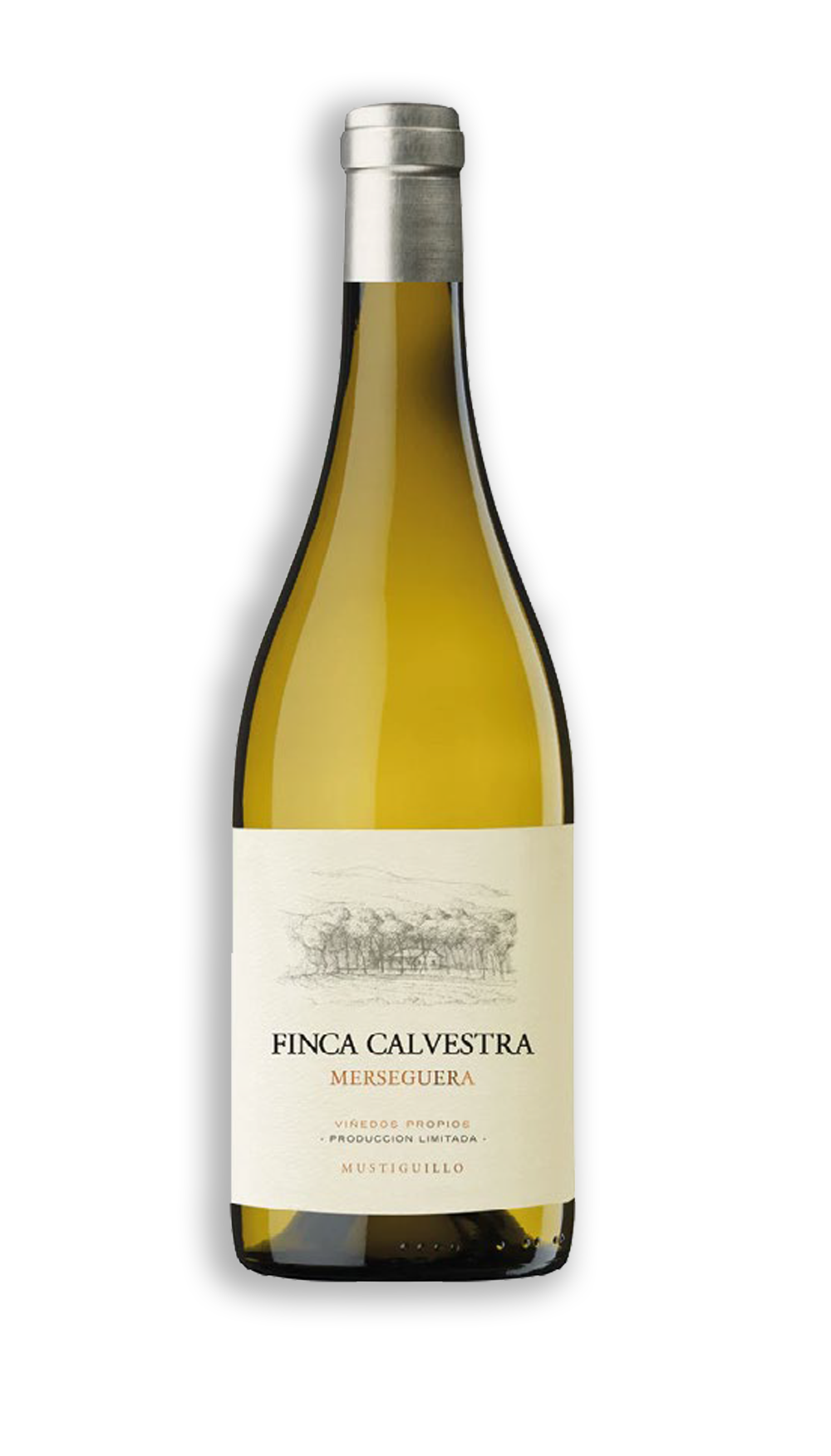 FINCA CALVESTRA