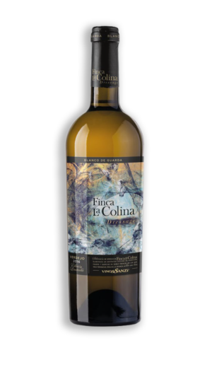 FINCA LA COLINA DRESSAGE