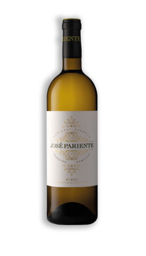 JOSÉ PARIENTE VERDEJO