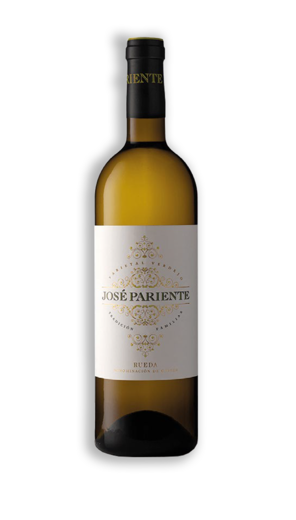 JOSÉ PARIENTE VERDEJO