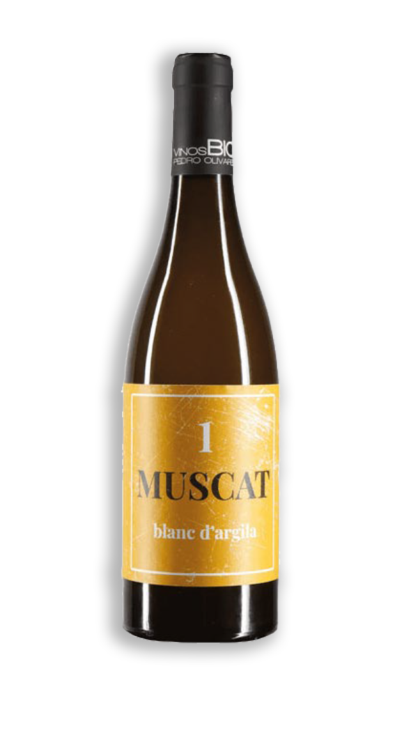 LA MUSCAT