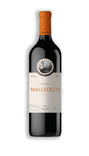 MALLEOLUS
