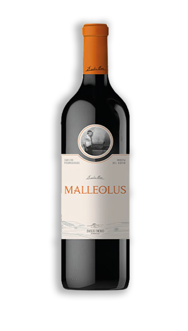 MALLEOLUS