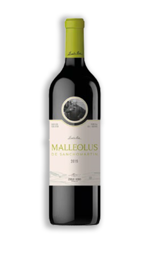 MALLEOLUS DE SANCHOMARTÍN