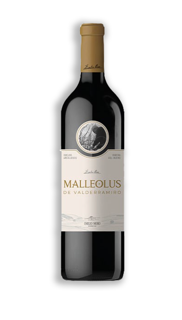MALLEOLUS DE VALDERRAMIRO