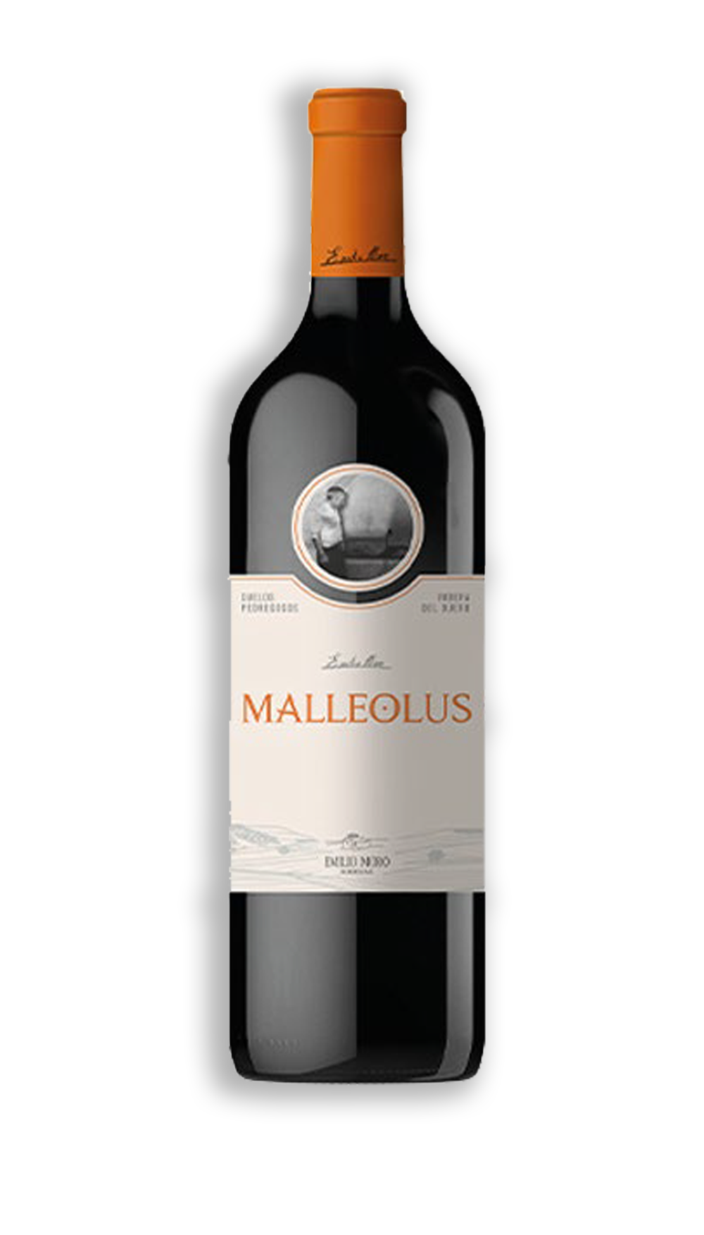 MALLEOLUS