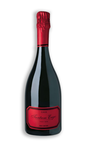 TANTUM ERGO PINOT NOIR ROSÉ