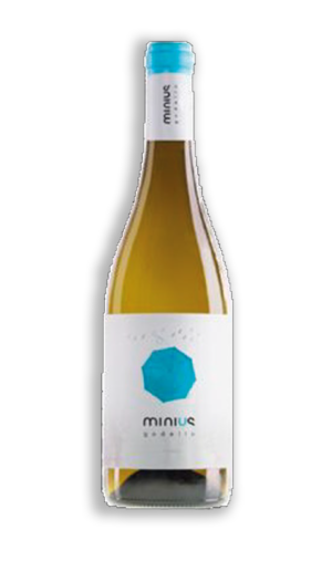 MINIUS GODELLO