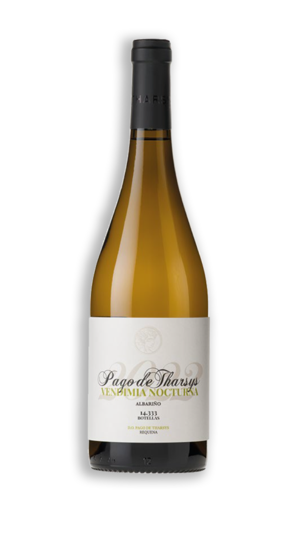 VENDIMIA NOCTURNA ALBARIÑO