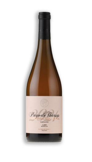 VENDIMIA NOCTURNA GARNACHA