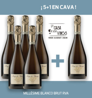 PROMO 5+1 MILLÉSIME BLANCO BRUT RVA