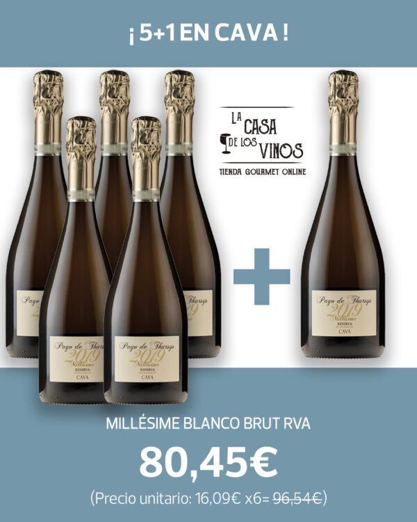 PROMO 5+1 MILLÉSIME BLANCO BRUT RVA