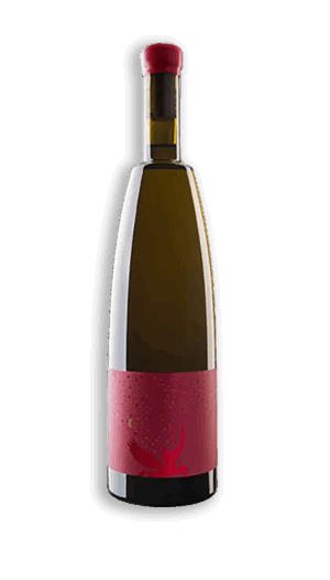 FINCA LAS CARABALLAS EQUILIBRIO