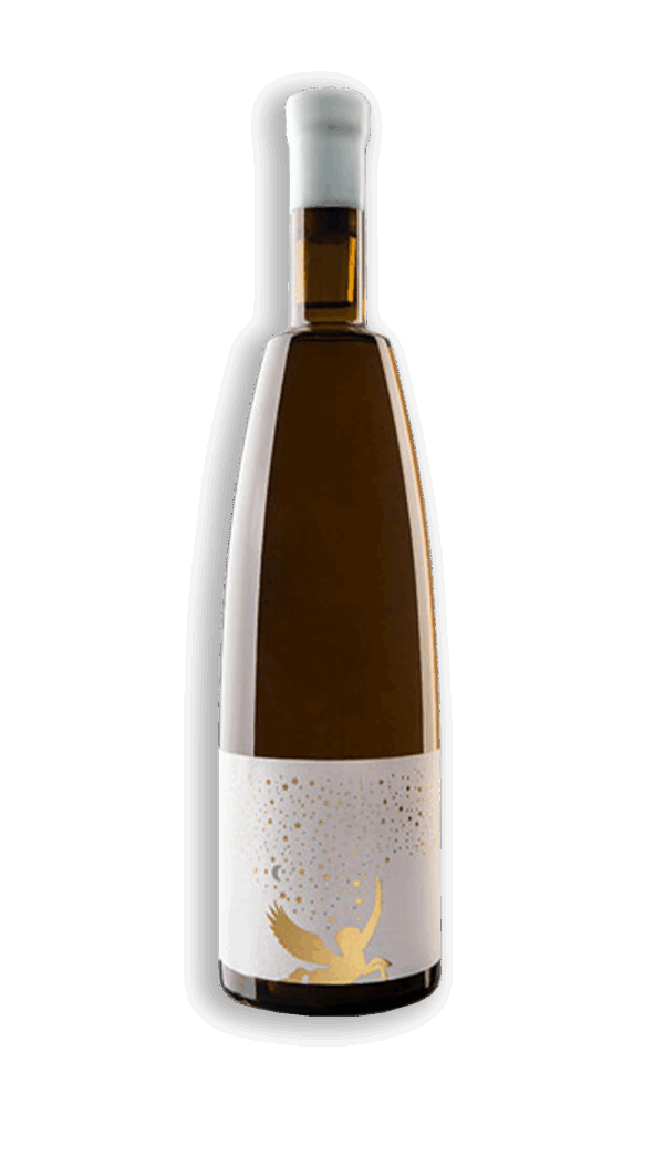 FINCA LAS CARABALLAS SOSIEGO
